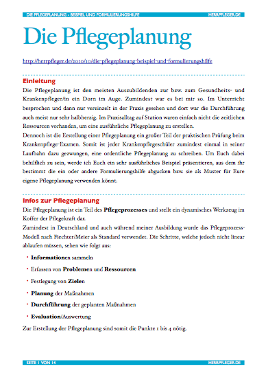 Pflegeplanung_download