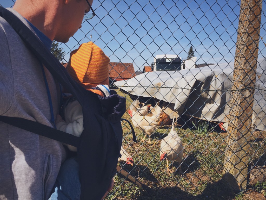 Mit dem ErgoBaby unterwegs bei den Hühnern